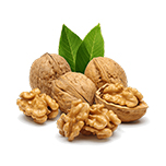 At risus pretium urna molestie Aenean vestibulum tortor metus fringilla