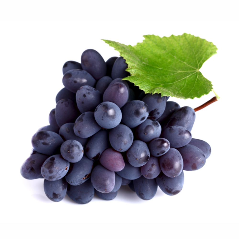Bundle of blue grapes with a green leaf
